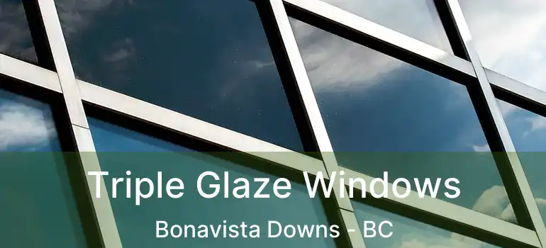  Triple Glaze Windows Bonavista Downs - BC