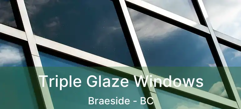  Triple Glaze Windows Braeside - BC