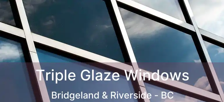  Triple Glaze Windows Bridgeland & Riverside - BC