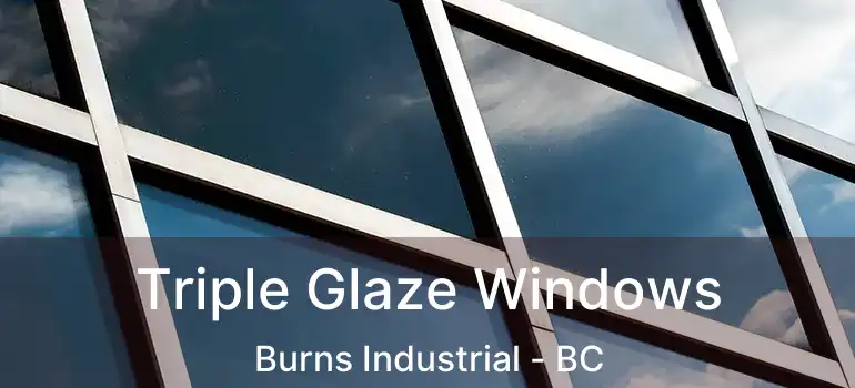  Triple Glaze Windows Burns Industrial - BC