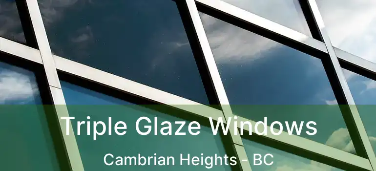  Triple Glaze Windows Cambrian Heights - BC