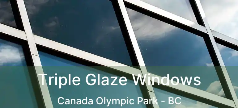  Triple Glaze Windows Canada Olympic Park - BC