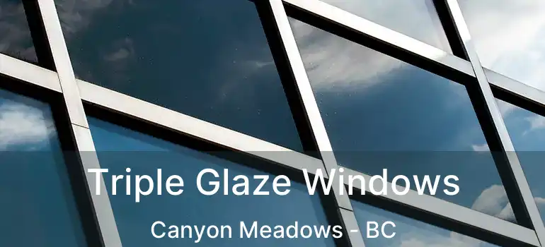  Triple Glaze Windows Canyon Meadows - BC
