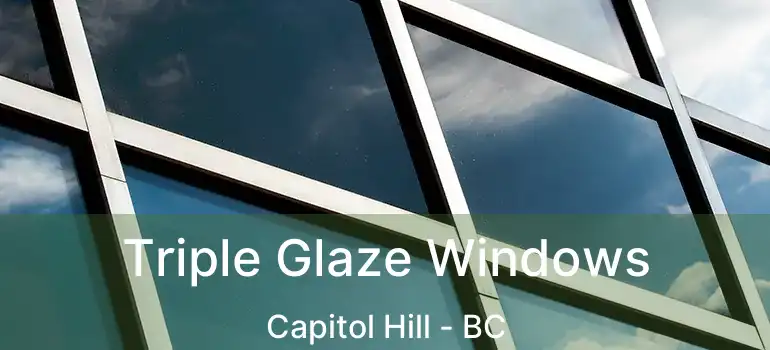  Triple Glaze Windows Capitol Hill - BC