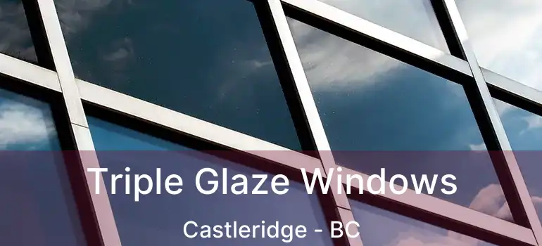  Triple Glaze Windows Castleridge - BC