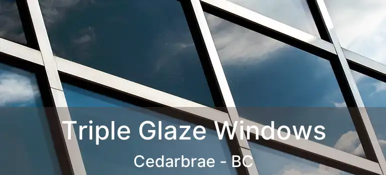  Triple Glaze Windows Cedarbrae - BC