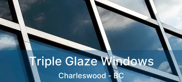  Triple Glaze Windows Charleswood - BC