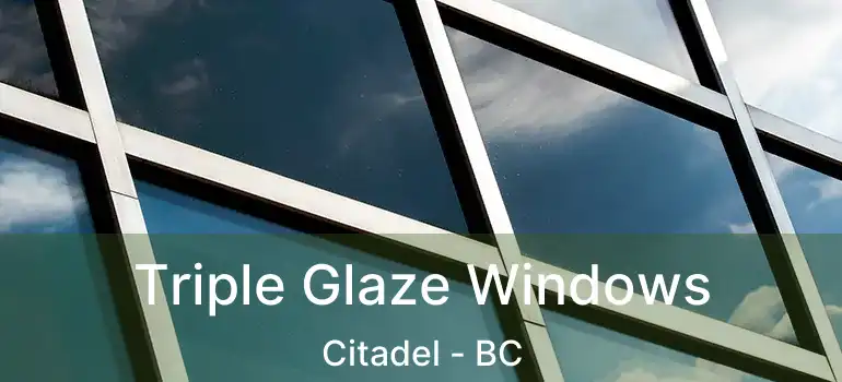  Triple Glaze Windows Citadel - BC