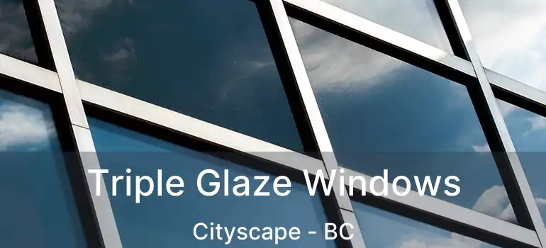  Triple Glaze Windows Cityscape - BC