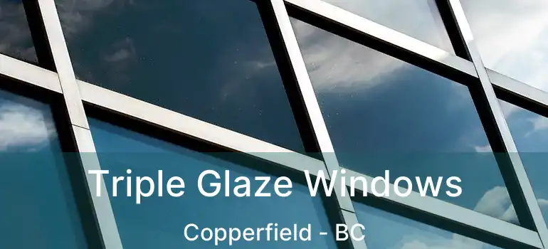  Triple Glaze Windows Copperfield - BC