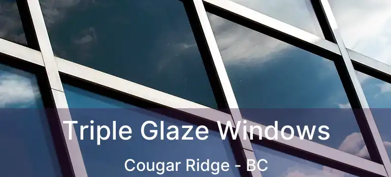  Triple Glaze Windows Cougar Ridge - BC