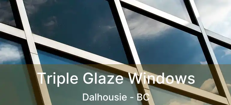  Triple Glaze Windows Dalhousie - BC