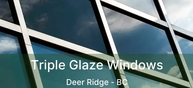  Triple Glaze Windows Deer Ridge - BC