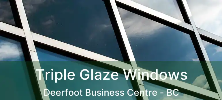  Triple Glaze Windows Deerfoot Business Centre - BC