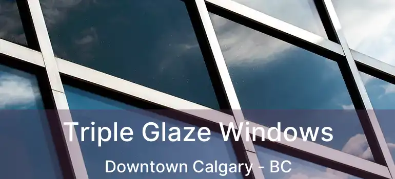  Triple Glaze Windows Downtown Calgary - BC