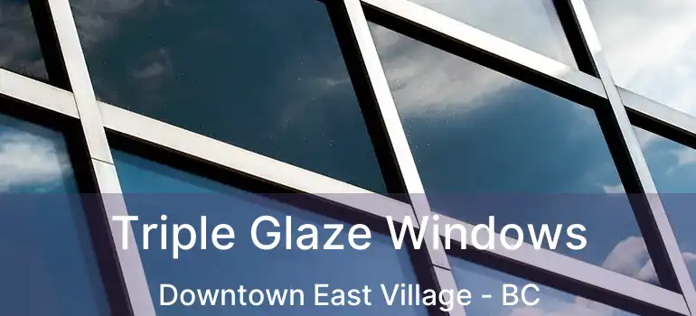  Triple Glaze Windows Downtown East Village - BC