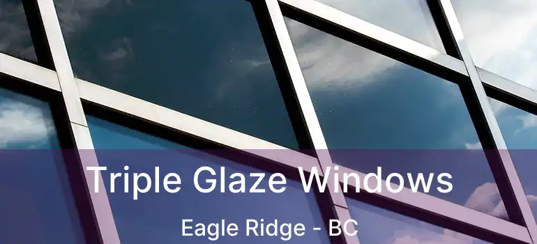  Triple Glaze Windows Eagle Ridge - BC
