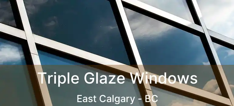  Triple Glaze Windows East Calgary - BC