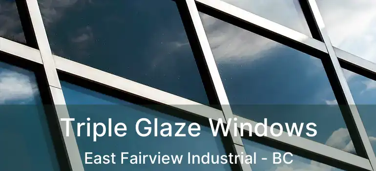  Triple Glaze Windows East Fairview Industrial - BC