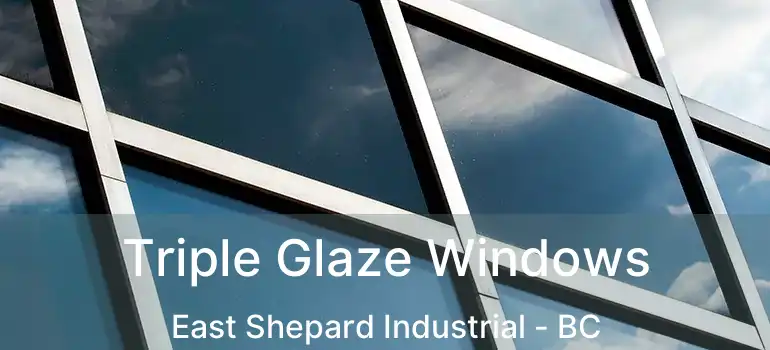  Triple Glaze Windows East Shepard Industrial - BC