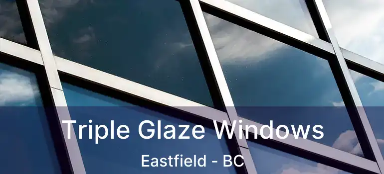  Triple Glaze Windows Eastfield - BC