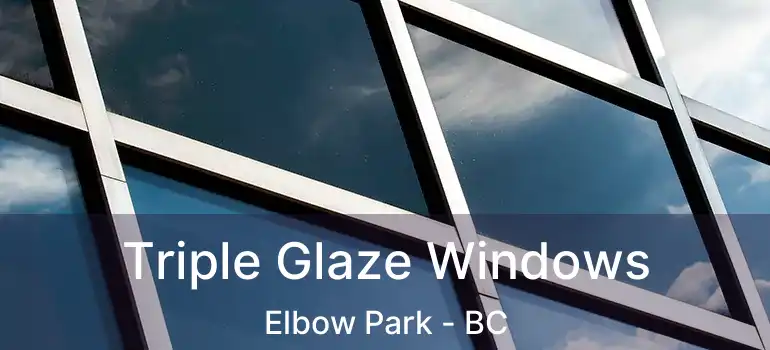  Triple Glaze Windows Elbow Park - BC