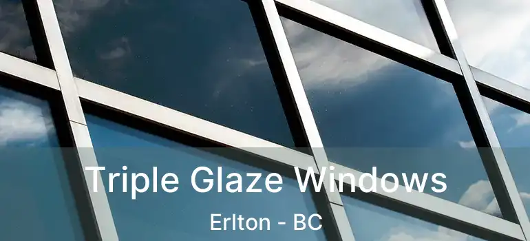  Triple Glaze Windows Erlton - BC