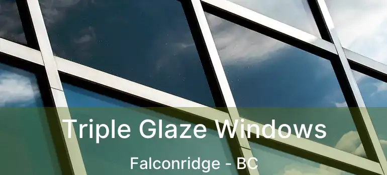  Triple Glaze Windows Falconridge - BC