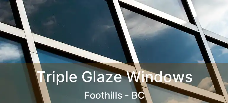  Triple Glaze Windows Foothills - BC