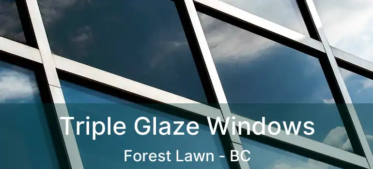  Triple Glaze Windows Forest Lawn - BC