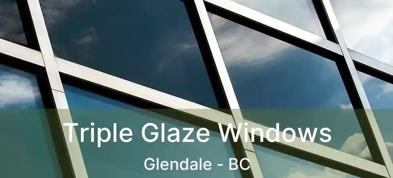  Triple Glaze Windows Glendale - BC