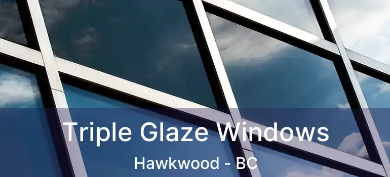  Triple Glaze Windows Hawkwood - BC