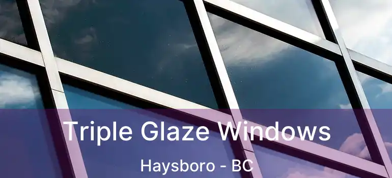  Triple Glaze Windows Haysboro - BC