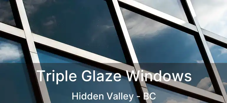  Triple Glaze Windows Hidden Valley - BC