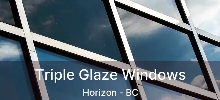  Triple Glaze Windows Horizon - BC