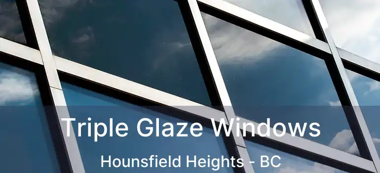 Triple Glaze Windows Hounsfield Heights - BC