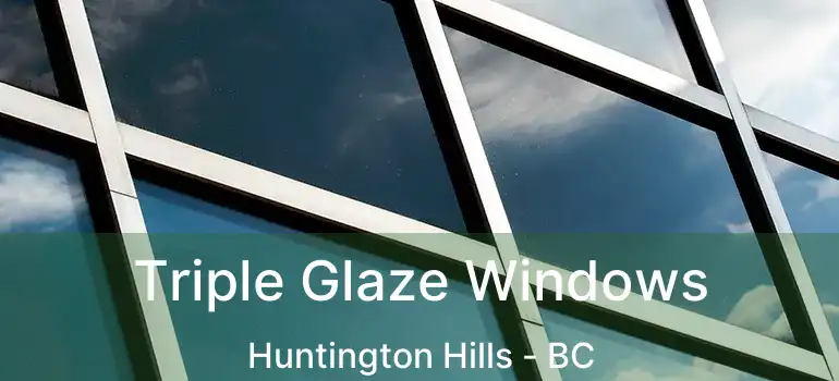  Triple Glaze Windows Huntington Hills - BC