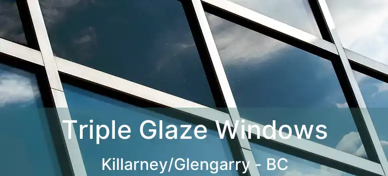  Triple Glaze Windows Killarney/Glengarry - BC