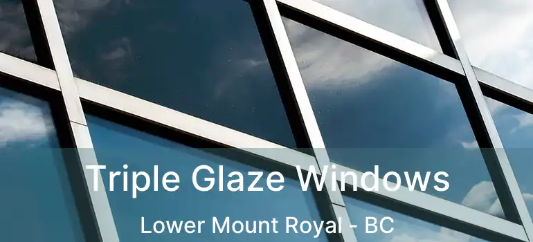  Triple Glaze Windows Lower Mount Royal - BC