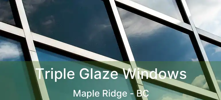  Triple Glaze Windows Maple Ridge - BC