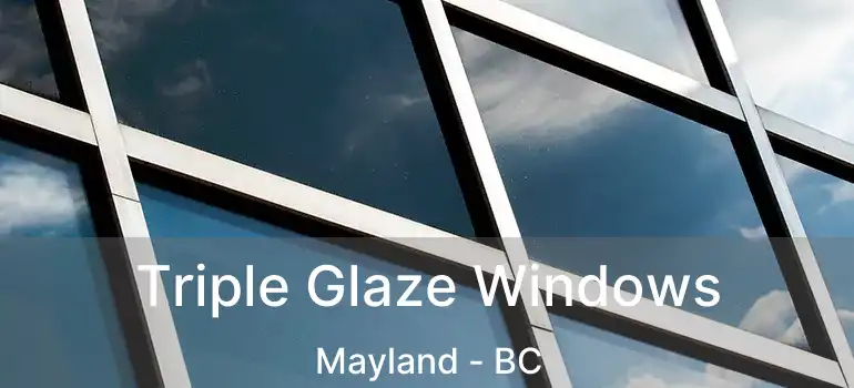  Triple Glaze Windows Mayland - BC