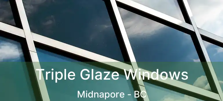  Triple Glaze Windows Midnapore - BC