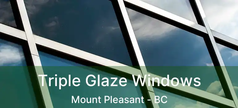  Triple Glaze Windows Mount Pleasant - BC
