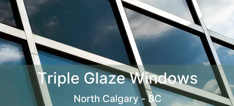  Triple Glaze Windows North Calgary - BC