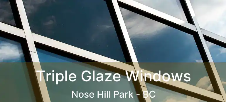  Triple Glaze Windows Nose Hill Park - BC
