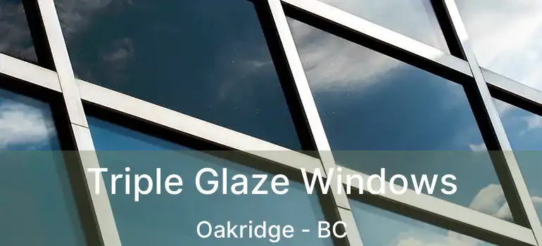  Triple Glaze Windows Oakridge - BC