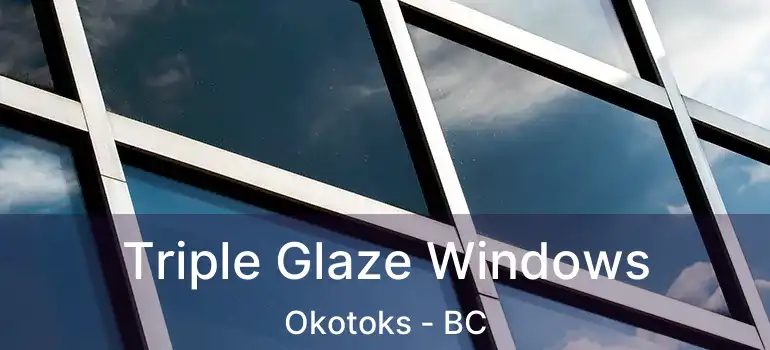  Triple Glaze Windows Okotoks - BC