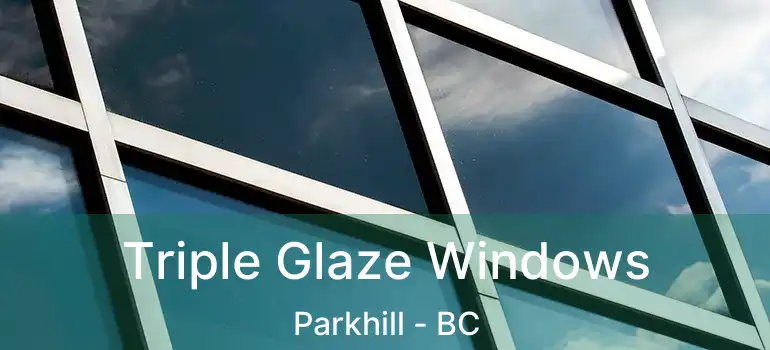  Triple Glaze Windows Parkhill - BC