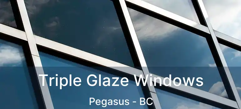  Triple Glaze Windows Pegasus - BC
