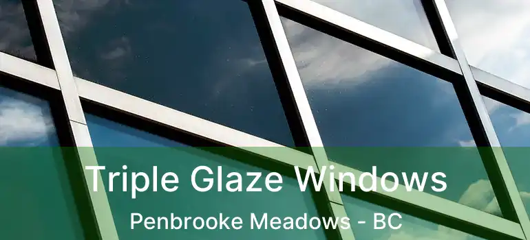  Triple Glaze Windows Penbrooke Meadows - BC